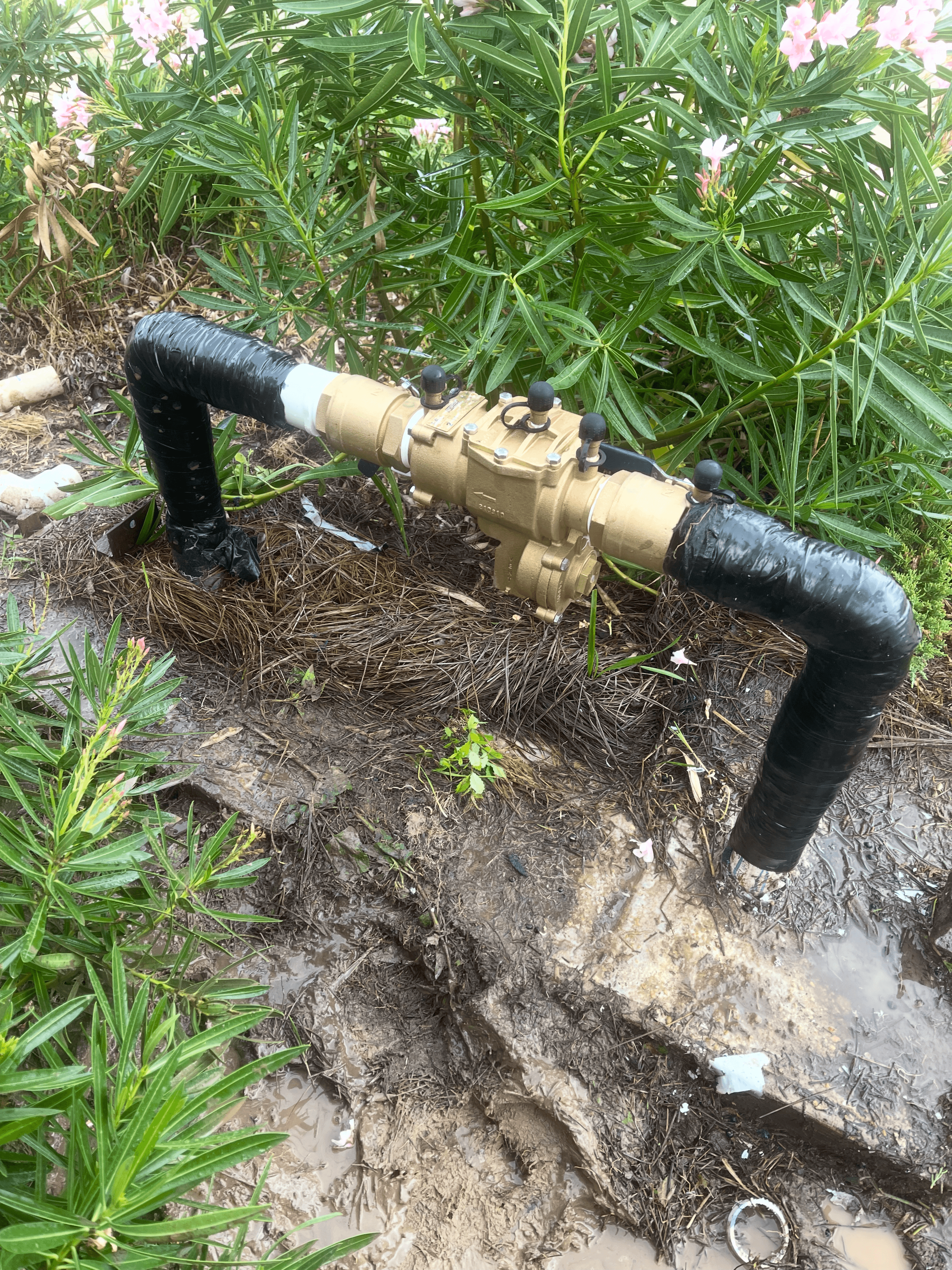 Sprinkler Installation